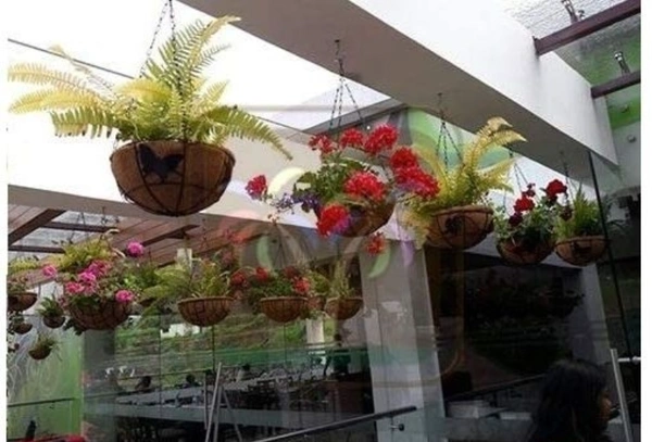 Black Color Iron Butterfly Design Hanging Stand With 10 Inch Coco Basket Pot - Free Size, Black, Iron, Pack of 1